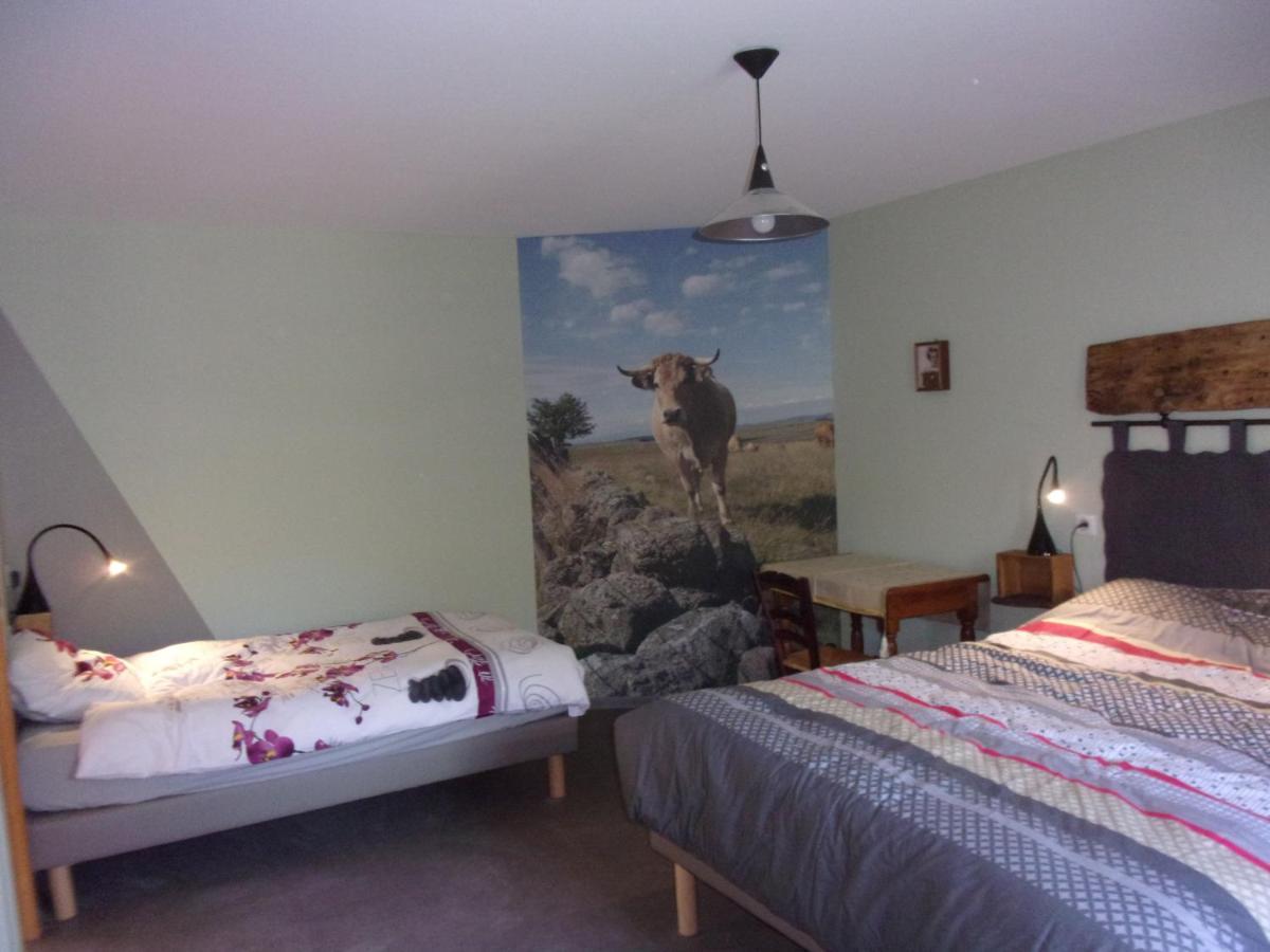 Chambre D'Hotes Le Cascadou 班纳萨克 外观 照片