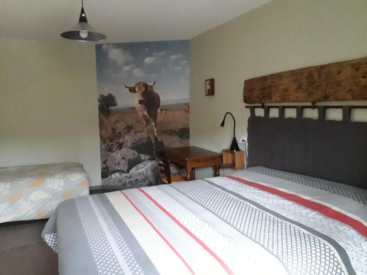 Chambre D'Hotes Le Cascadou 班纳萨克 外观 照片